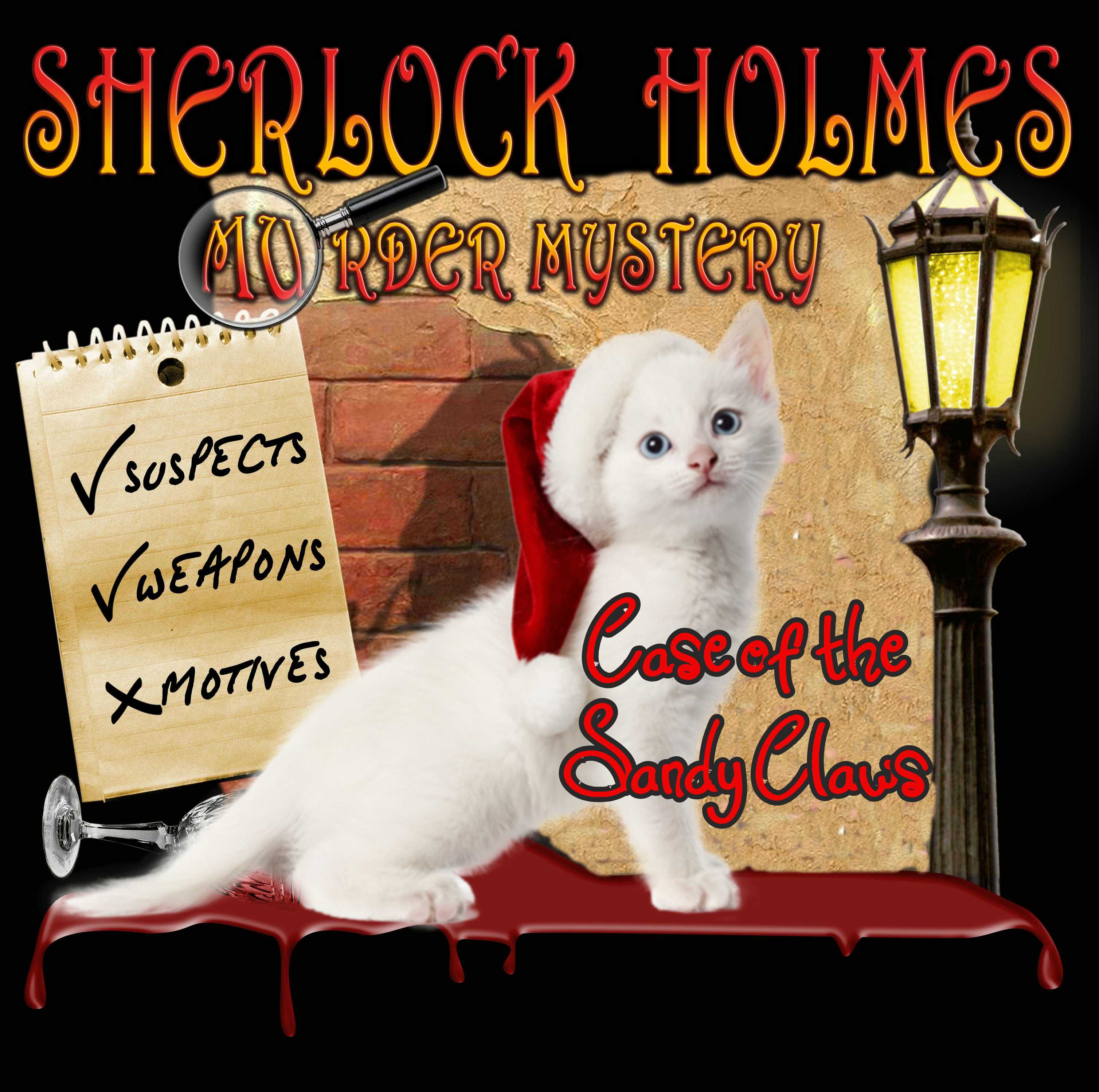 Holiday Murder Mystery